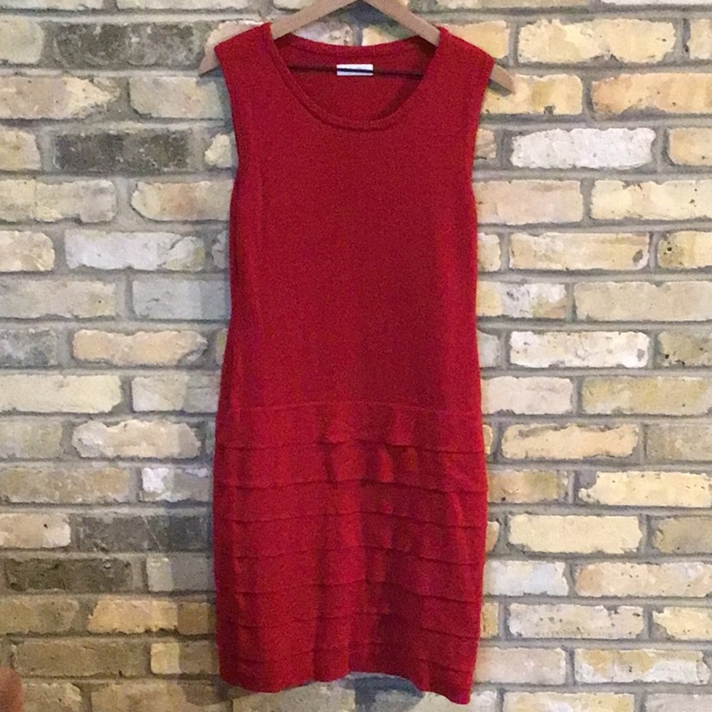Red sweater dress
